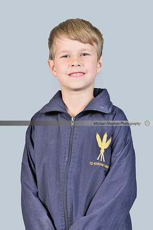 Grade 1 A _DSF0704