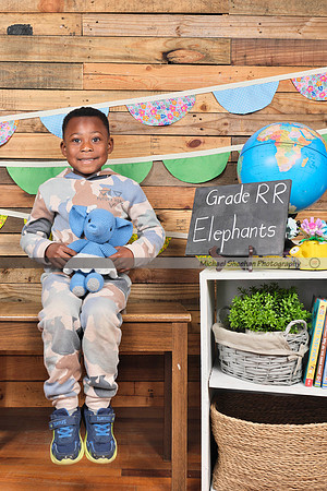 Elephants _DSF4807