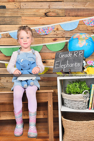 Elephants _DSF4842.JPG