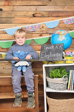 Elephants _DSF4826.JPG