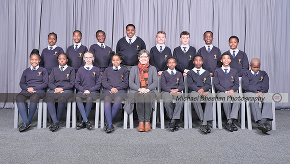 Grade 6 S DSF5314
